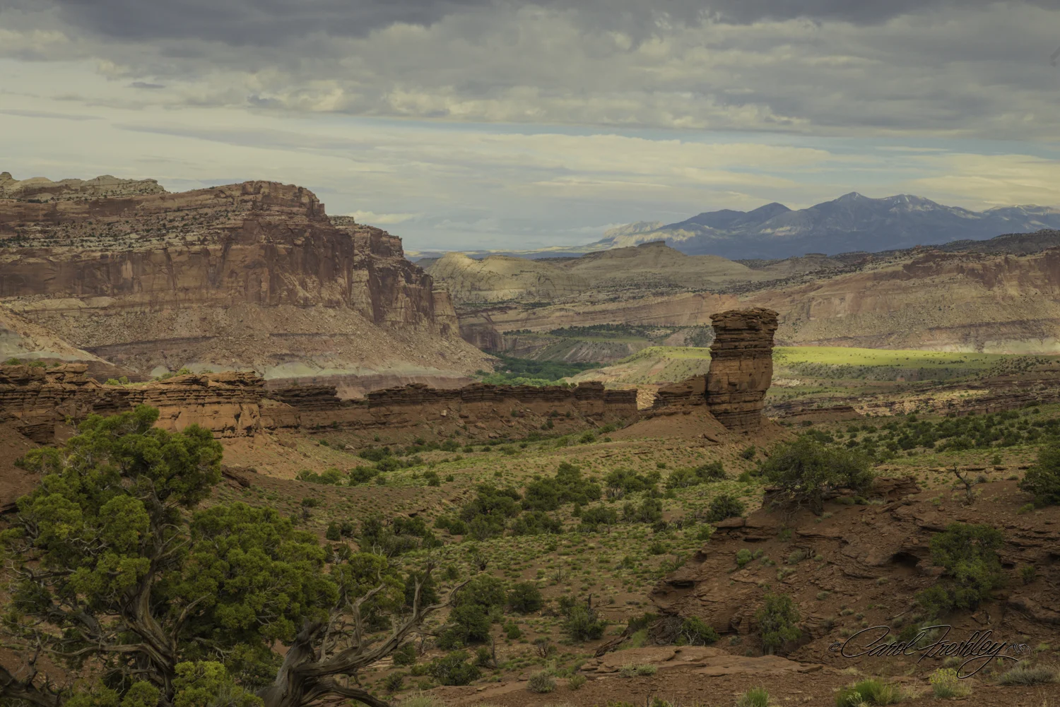 Capitol Reef National Monument-141-31.jpg