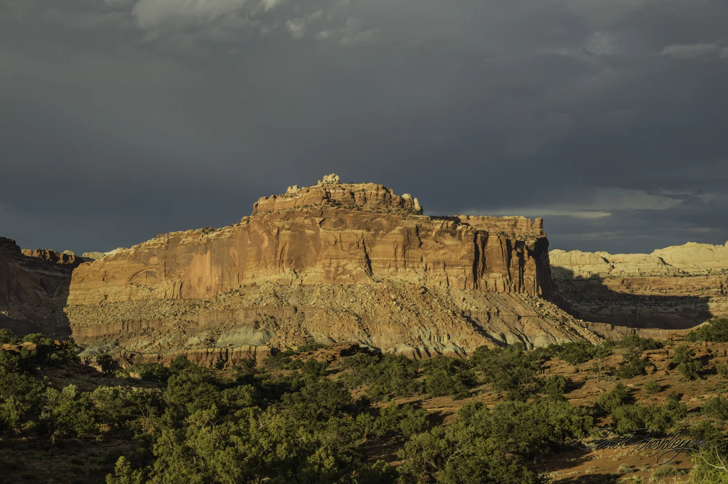 Capitol Reef National Monument-152-34.jpg