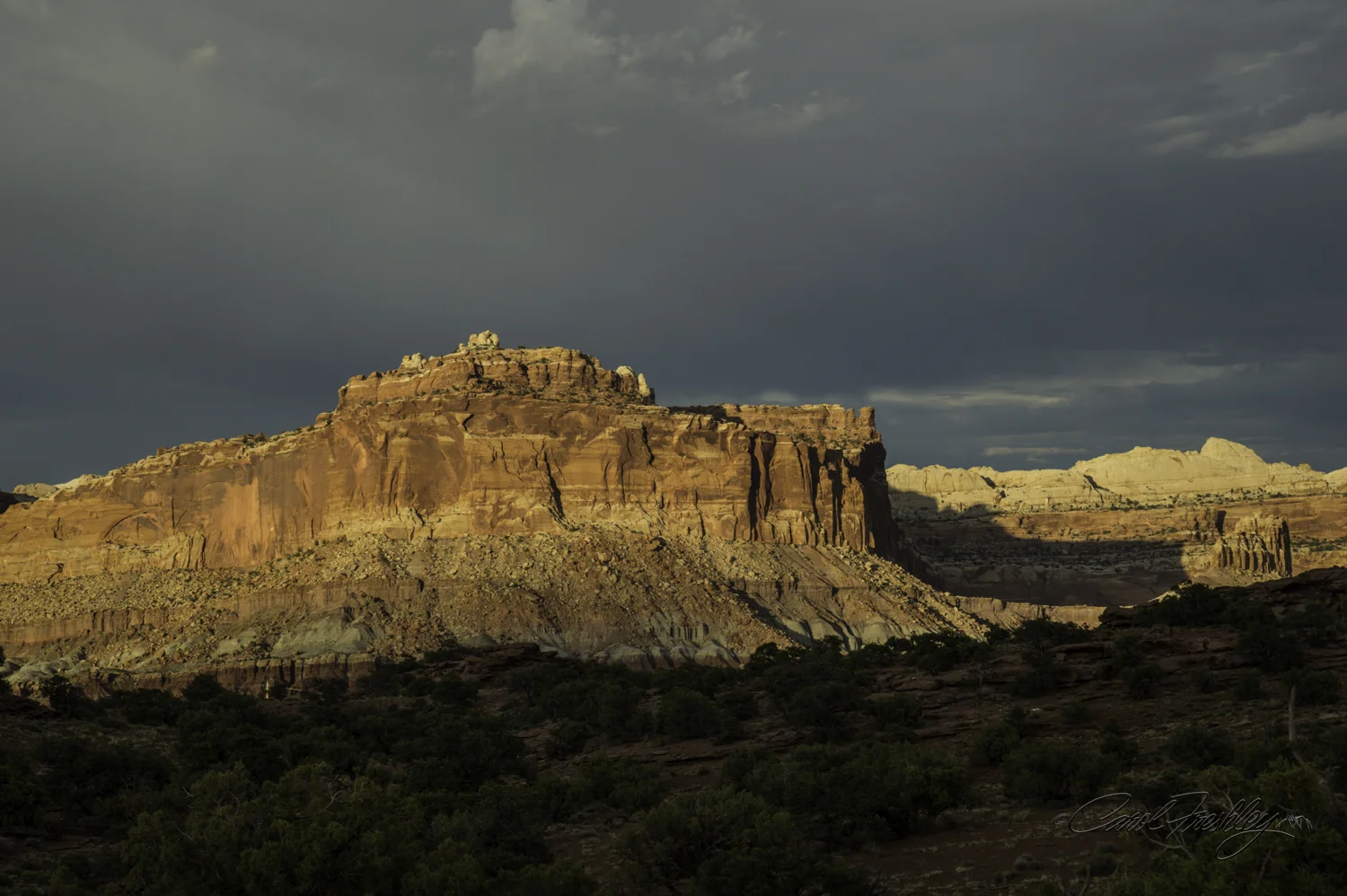 Capitol Reef National Monument-155-35.jpg