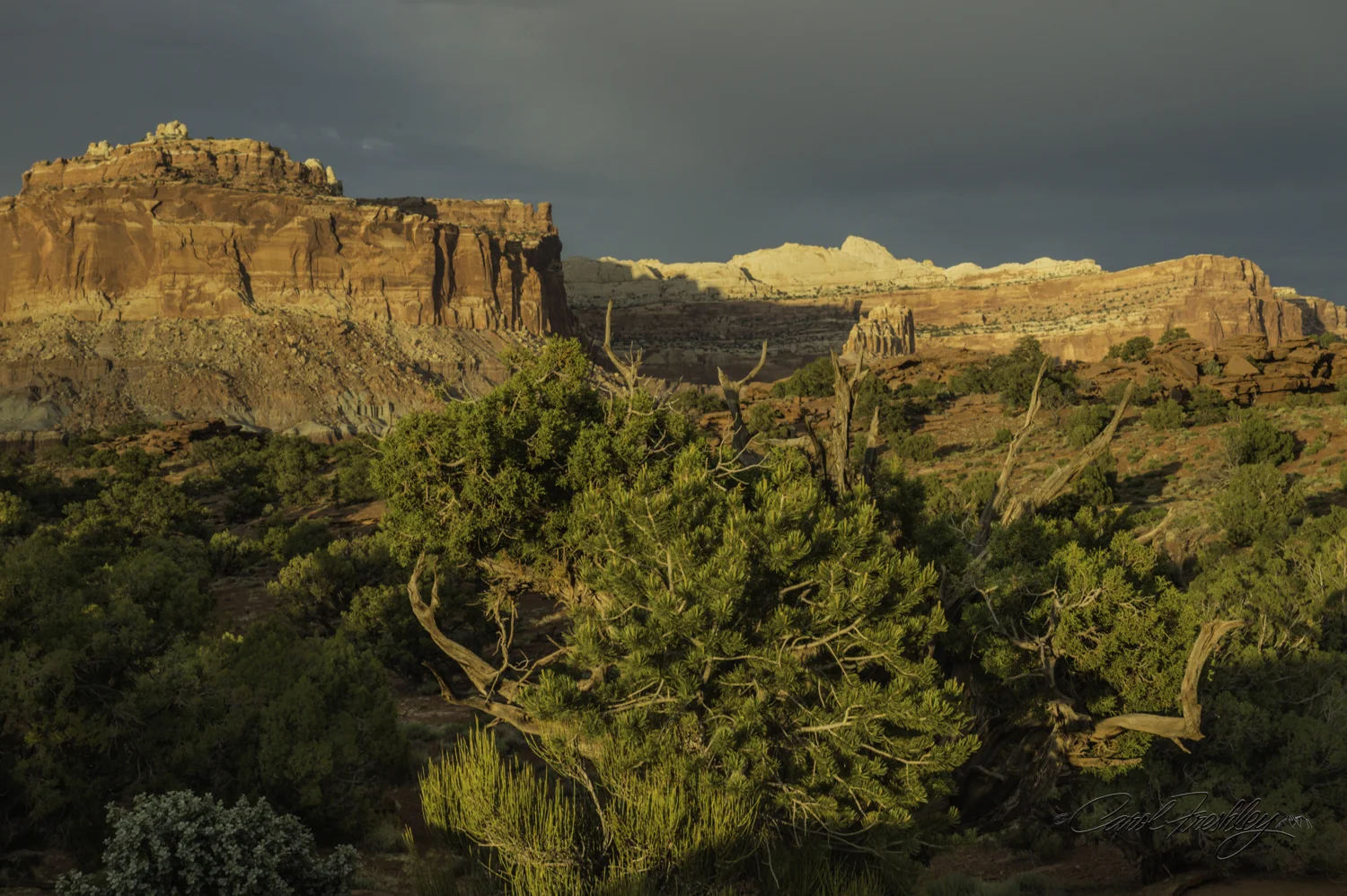 Capitol Reef National Monument-159-36.jpg