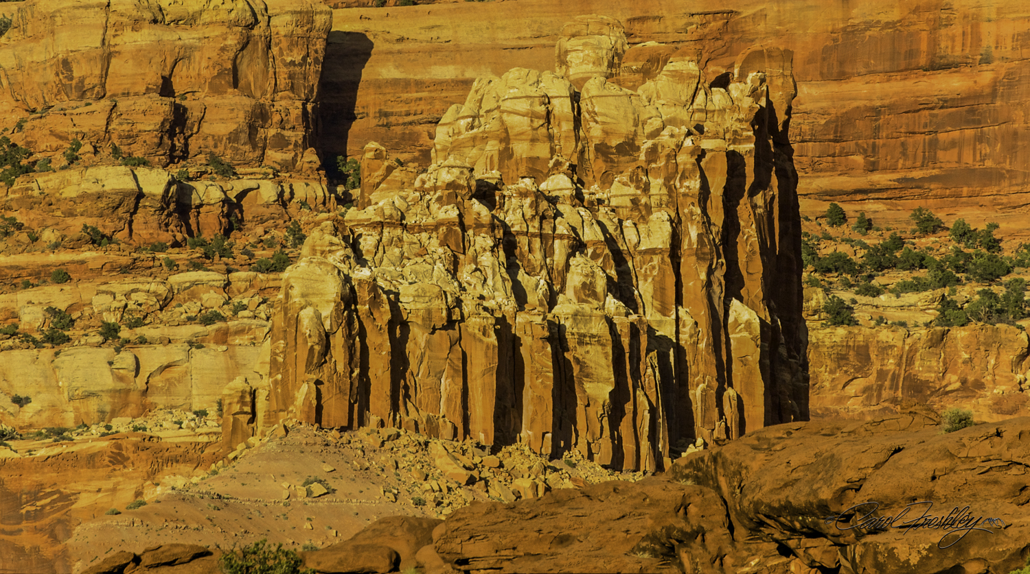 Capitol Reef National Monument-164-37.jpg