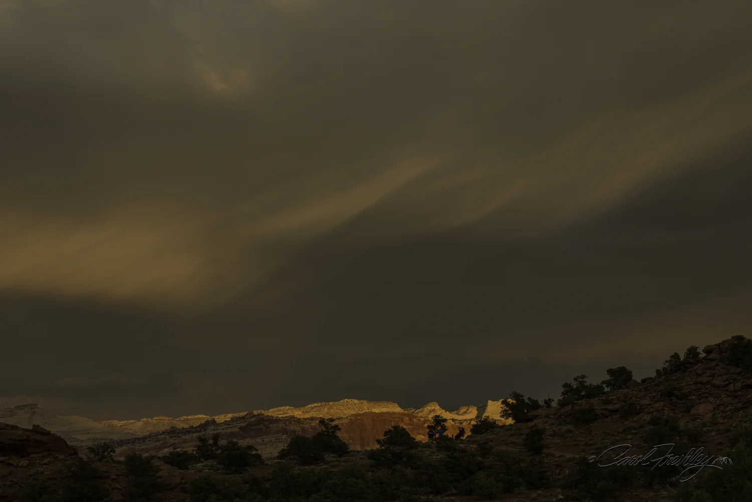 Capitol Reef National Monument-181-39.jpg