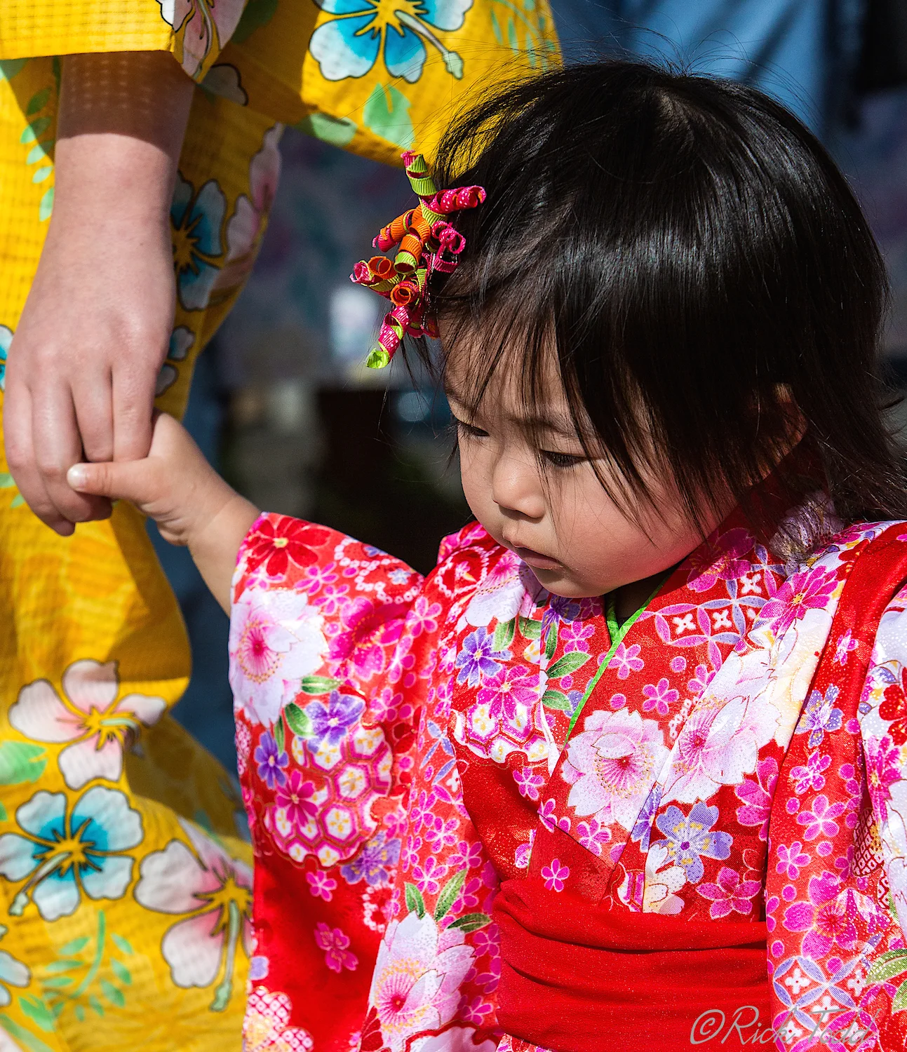Seems every photographer fell in love with this little girl. 