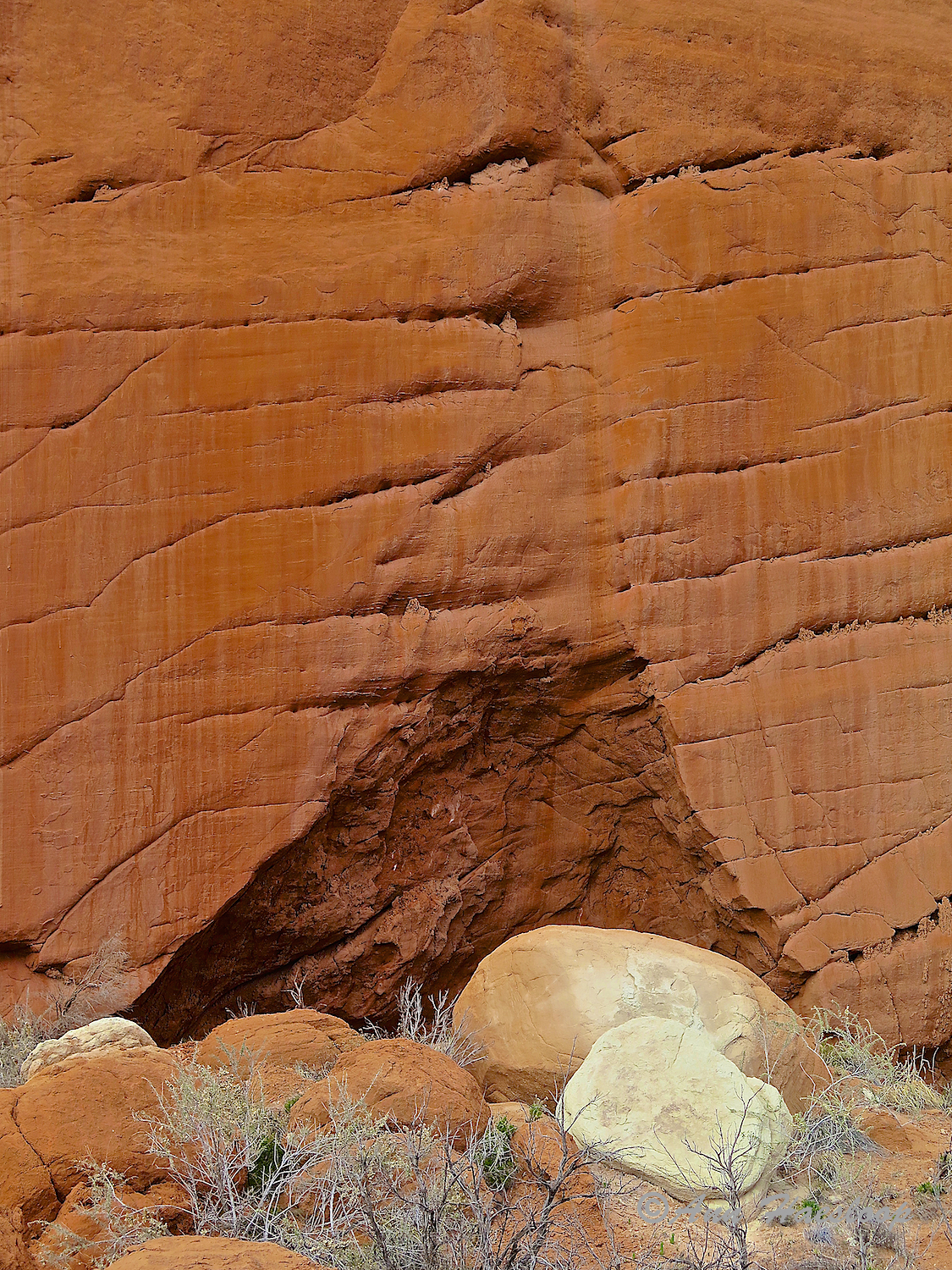 Could be a bear den! Or fox, or snake . . . 
