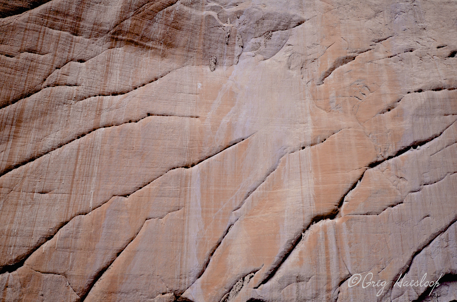 This would be an excellent photo to be used as texture, if you are into texturizing images in Photoshop. OK, know that is not many of you, but it is fun, especially if you have your own images.