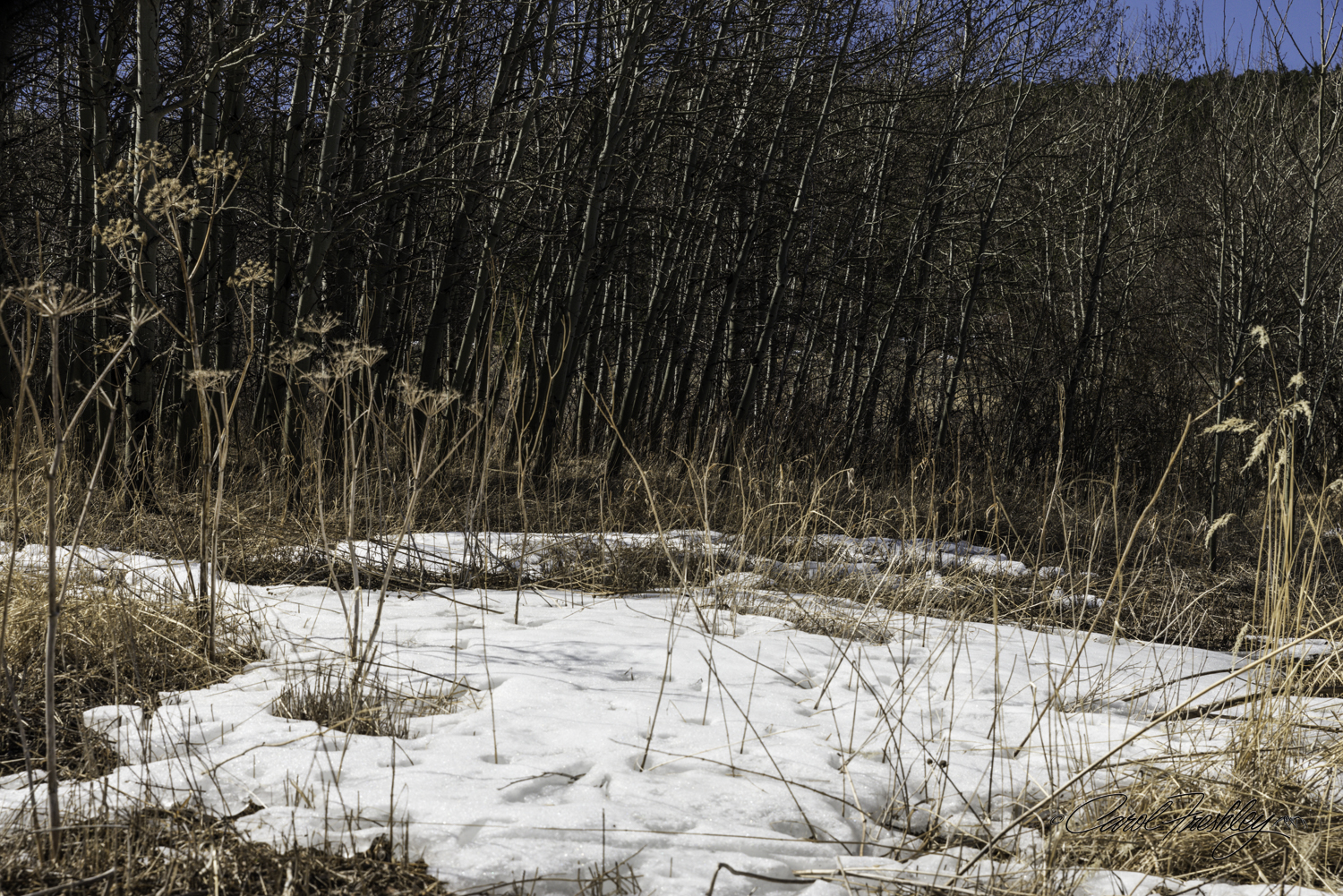 Patches of snow, some dry grass and clear sky.