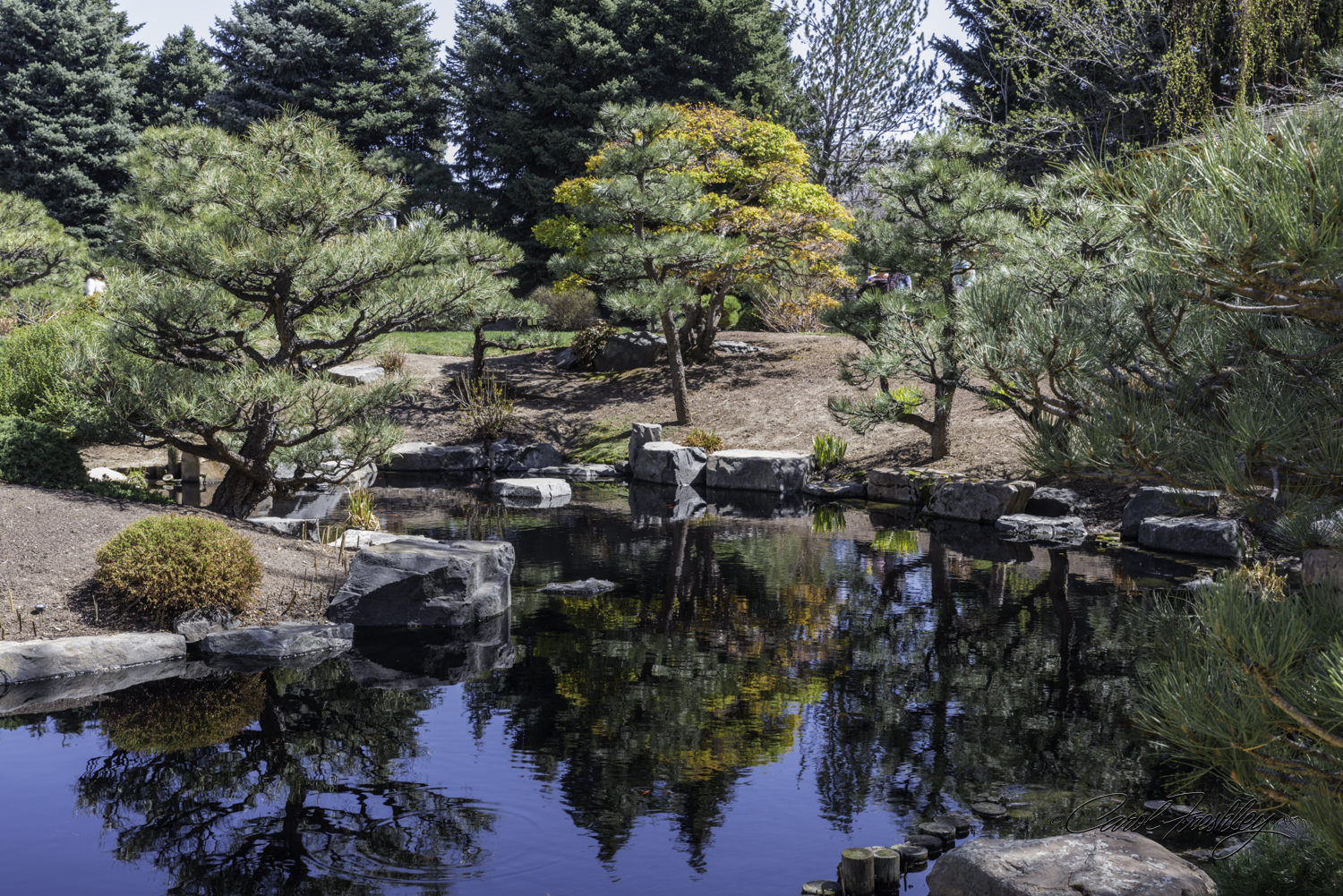 This is part of the Japanese Gardens.