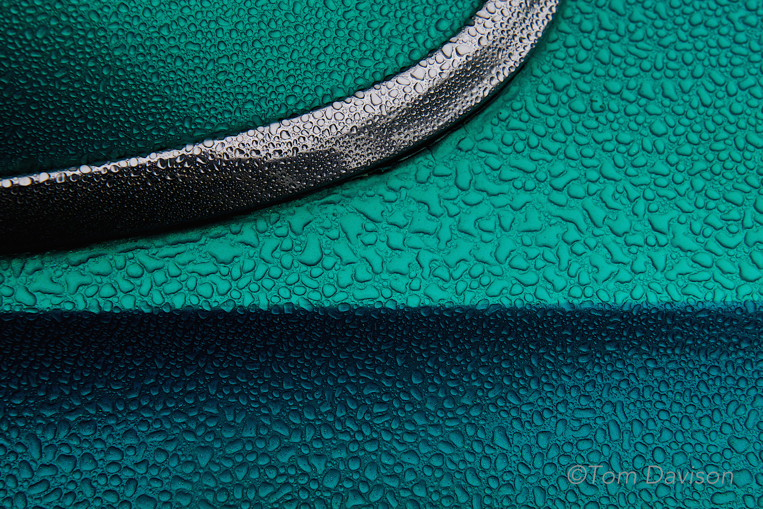 I mentioned rain. This is actually a photo of the mist on the car's (Jerry's) paint.