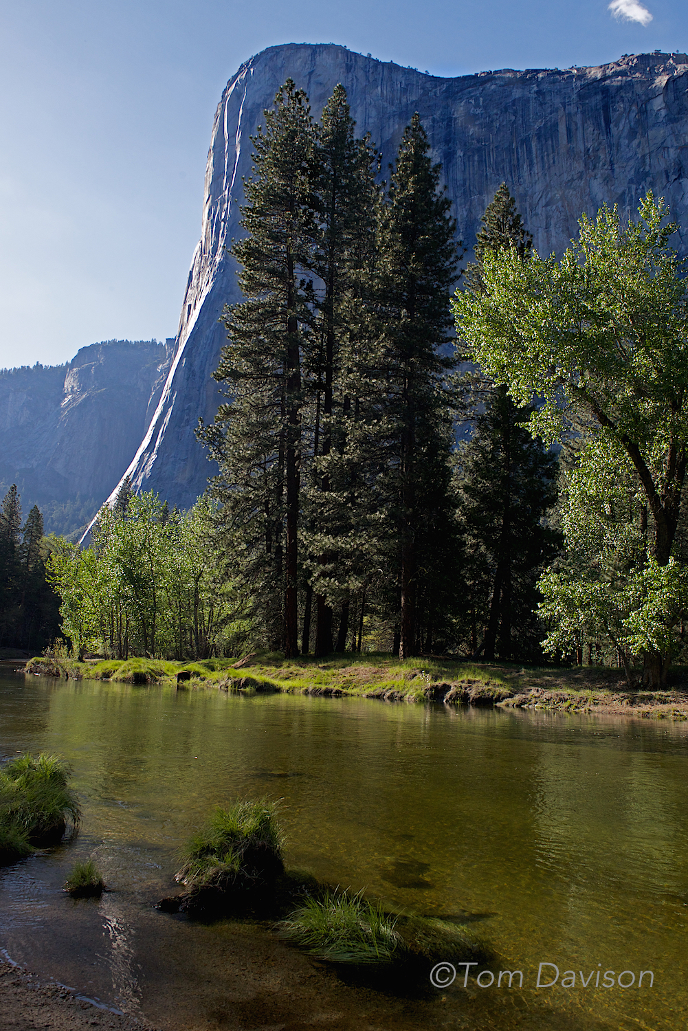 Tom's take on sunrise with El Capitan.