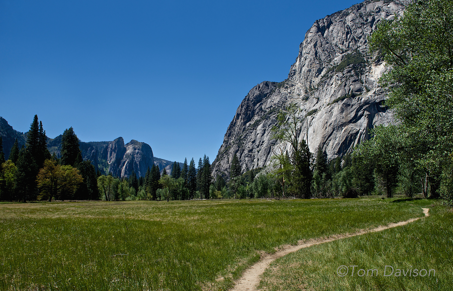 Grass and granite.