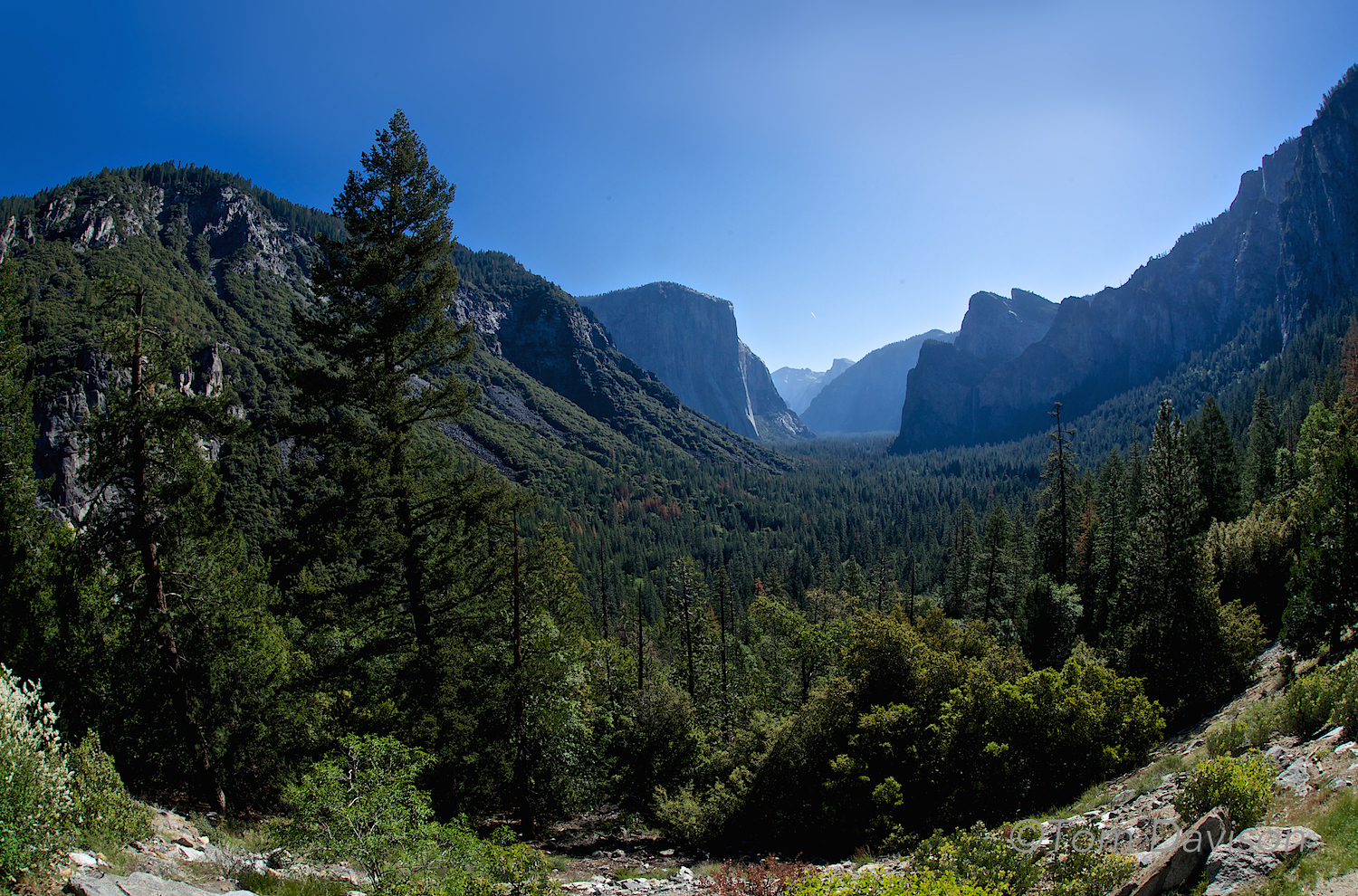 Tom's shot with 24-70mm Nikkor f/2.8. Taken at Tunnel View.