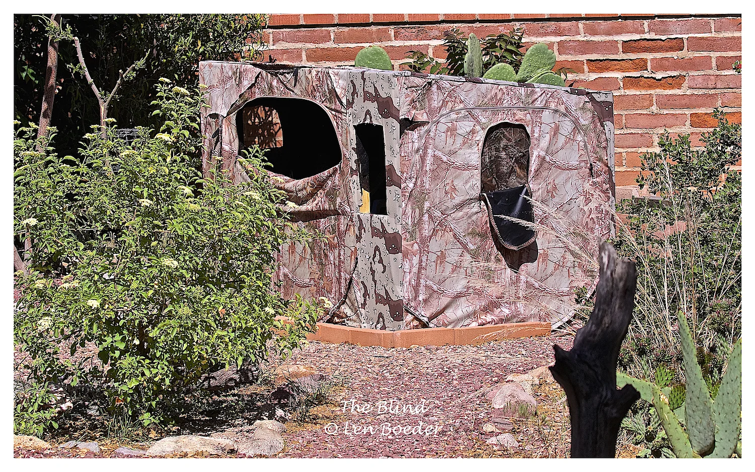 This is Len's blind. Hmmmm . . . I don't see a refrigerator, a recliner, a wine cellar!