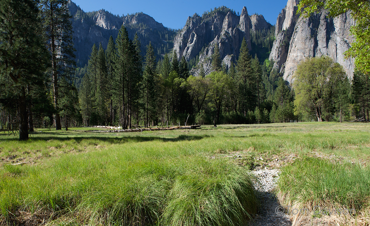A meadow looking back at granite. I think this is looking towards Cathedral Rocks.