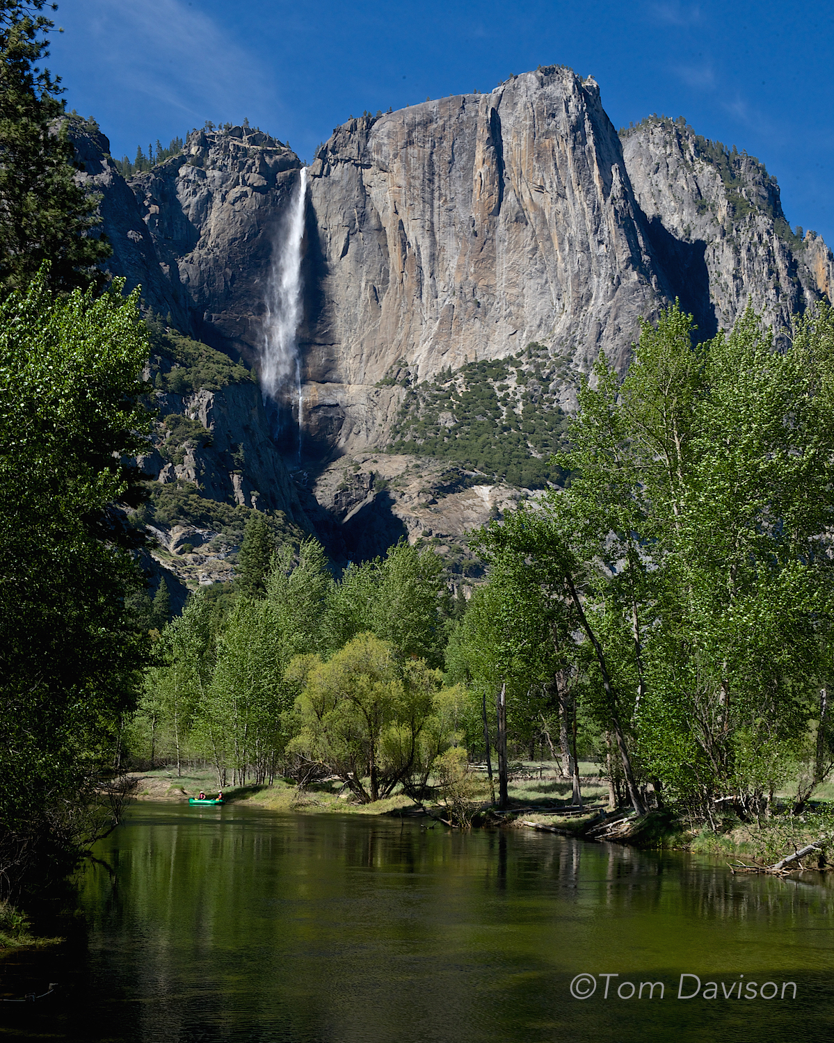 Upper Yosemite Falls from downriver along the Merced.