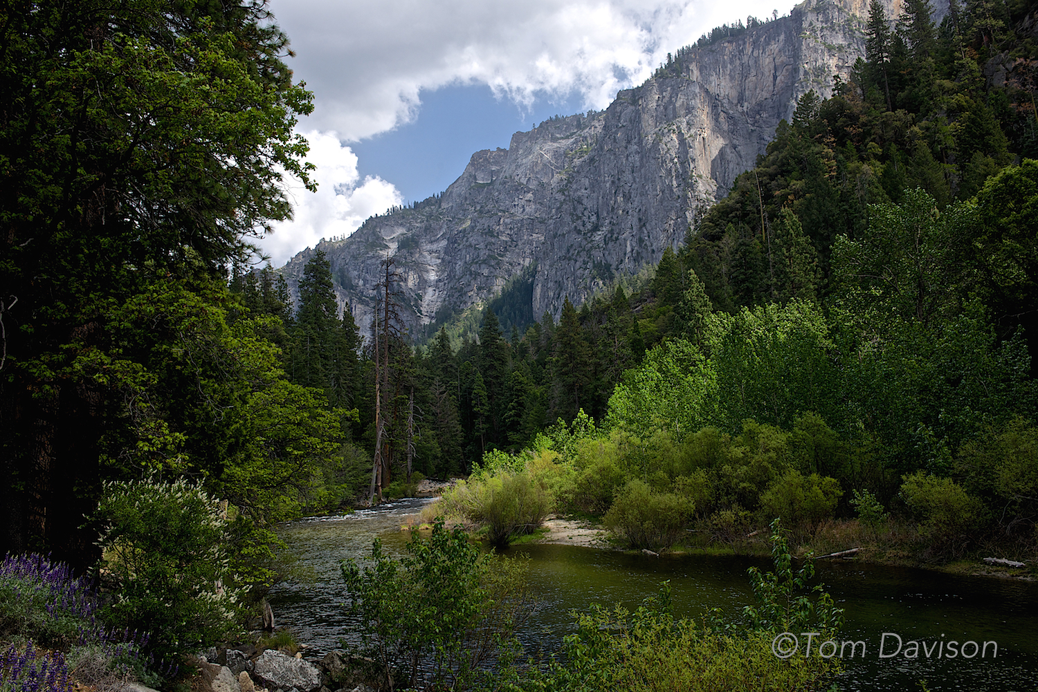 Yosemite is a photographer's happy challenge. Almost every shot offers up a dynamic range that pleases your senses beyond your imagination. Your camera cannot easily scan that range. Some of our favorite shots were not the iconic images that make Yosemite the park that it is but the images captured along the way, such as this one, where a little light can make a shot special.