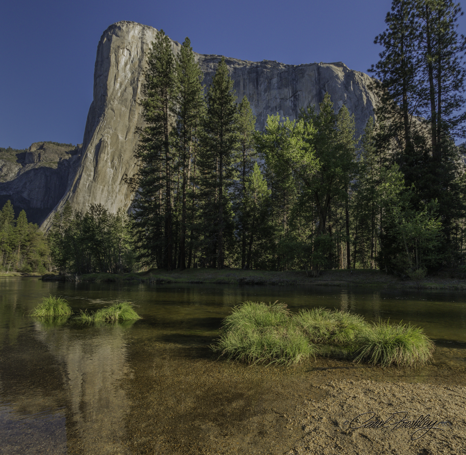 Sunrise at El Capitan from Cathedral Beach. Reflection is in the Merced River, running very cold at this time of year.