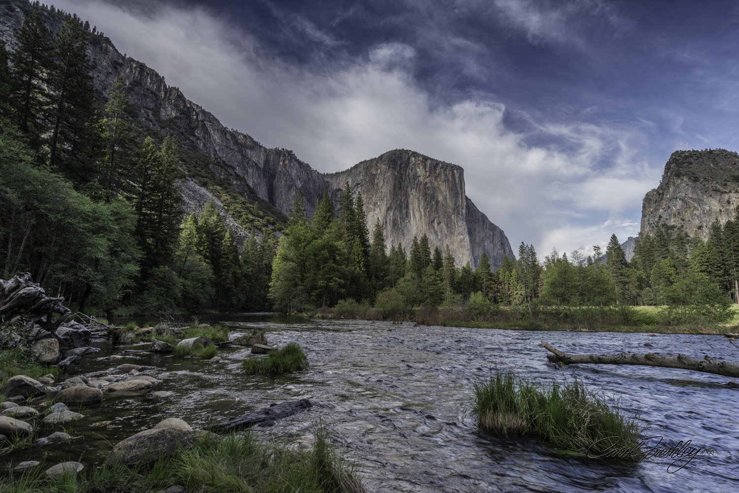 Look west from banks of Merced River.