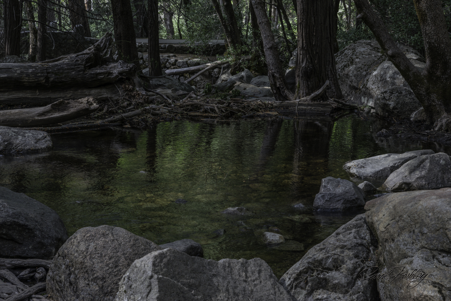 A story here. The evening we shot Bridalveil Tom saw a 'green pond' opportunity while walking back to our car. I was way ahead of him (imagine that). He lagged behind to get his shots of this pond.. When he got into the car and showed me what delayed him I was jealous. "You should have called me to share the opportunity. You are holding out on me!" In the end, he did not like his shots because they were out of focus. I insisted on returning to the pond the next day to get my turn at this shot. But, when we got there the pond was not green. It was a gorgeous mix of browns. Like Bridalveil, this pond requires light be reflected in just a certain way. A late winter storm was already developing so clouds were passing by and when the pond was in shadows of passing clouds in becomes darker, as it was late in the prior evening. I patiently waited, and waited, and waited . . . finally, one with enough shadows that you can see the green. But in this image you can also see a bit of brown where the sun streak crosses the water. I have my shot!