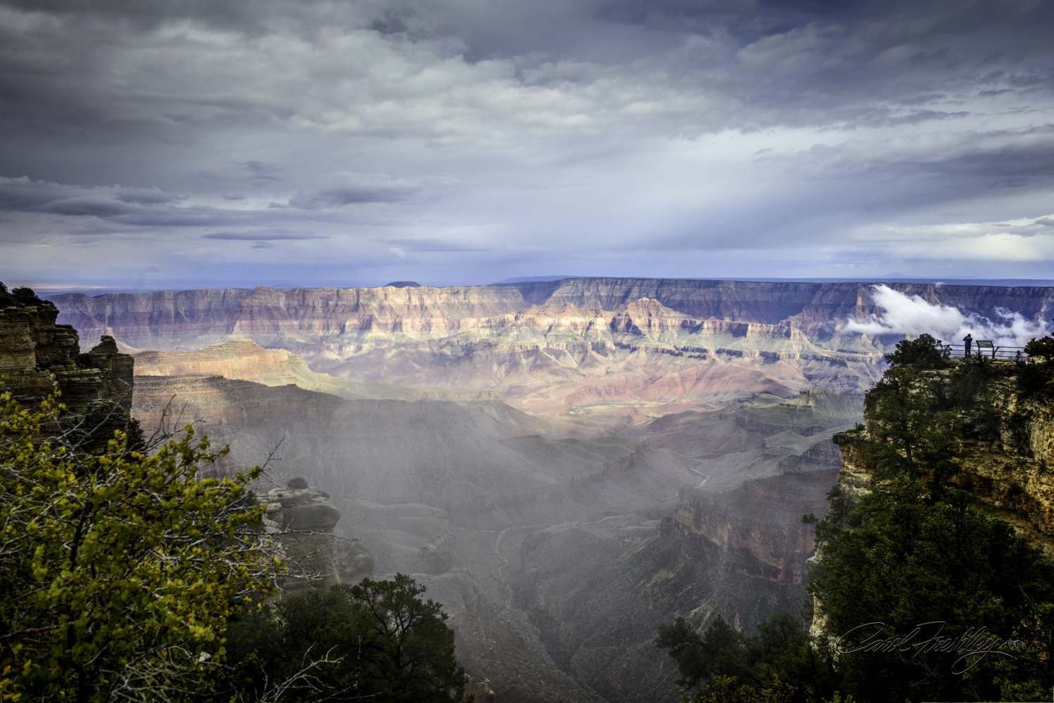 Patches of sun, weaving fog, and wisps of clouds played around in the canyon below us. You can see why David really was hoping to get a great Golden Hour shot of Cape Royale. Me too.