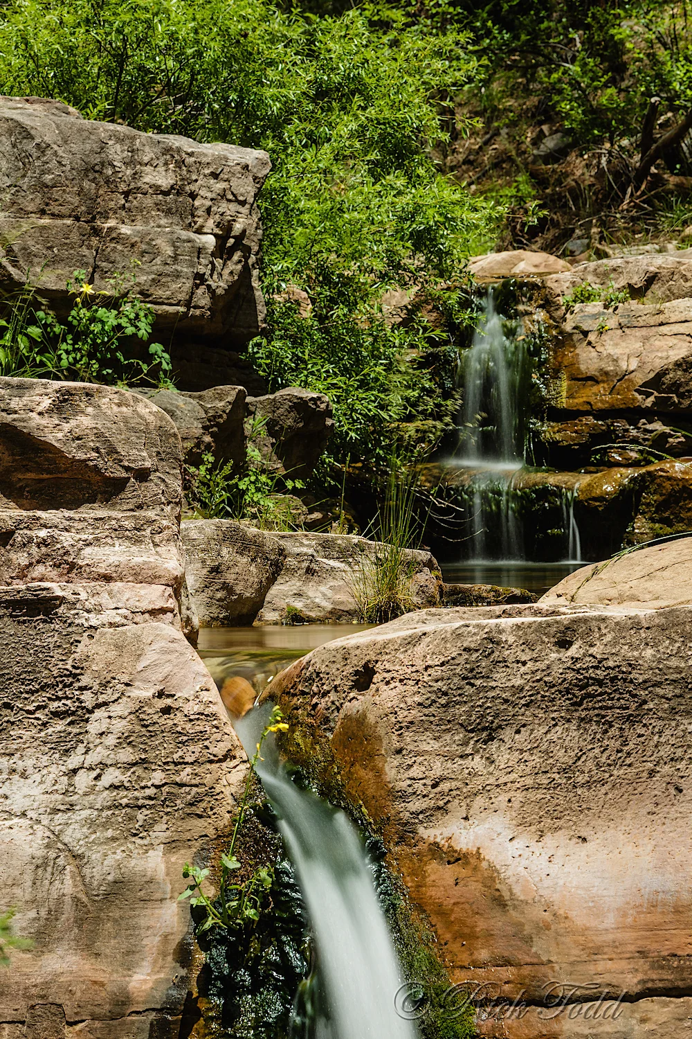 Rick started us off on this photo journey. This image reflect the mood I found at this waterfall. 