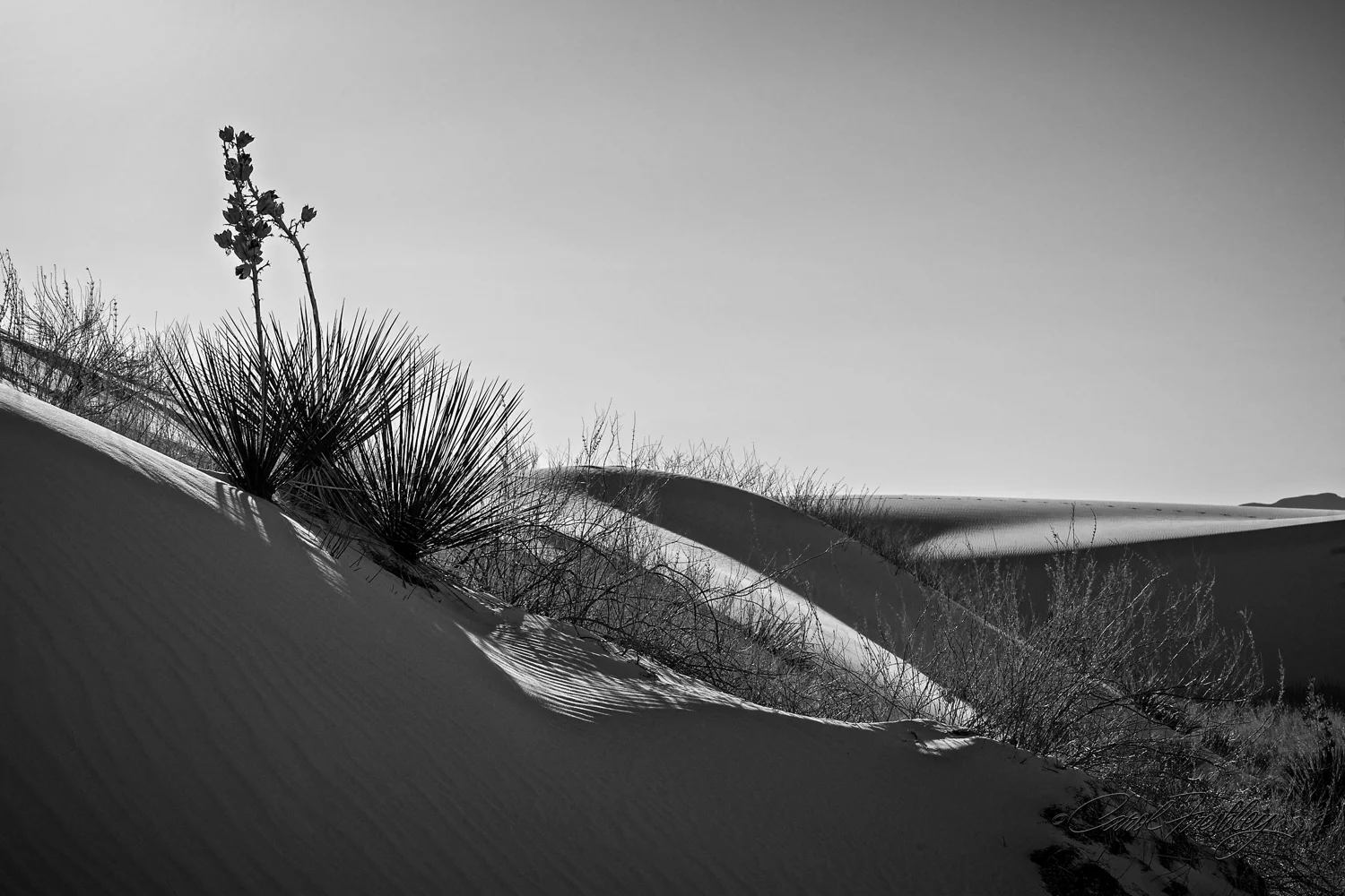 B&W White Sands-12.jpg