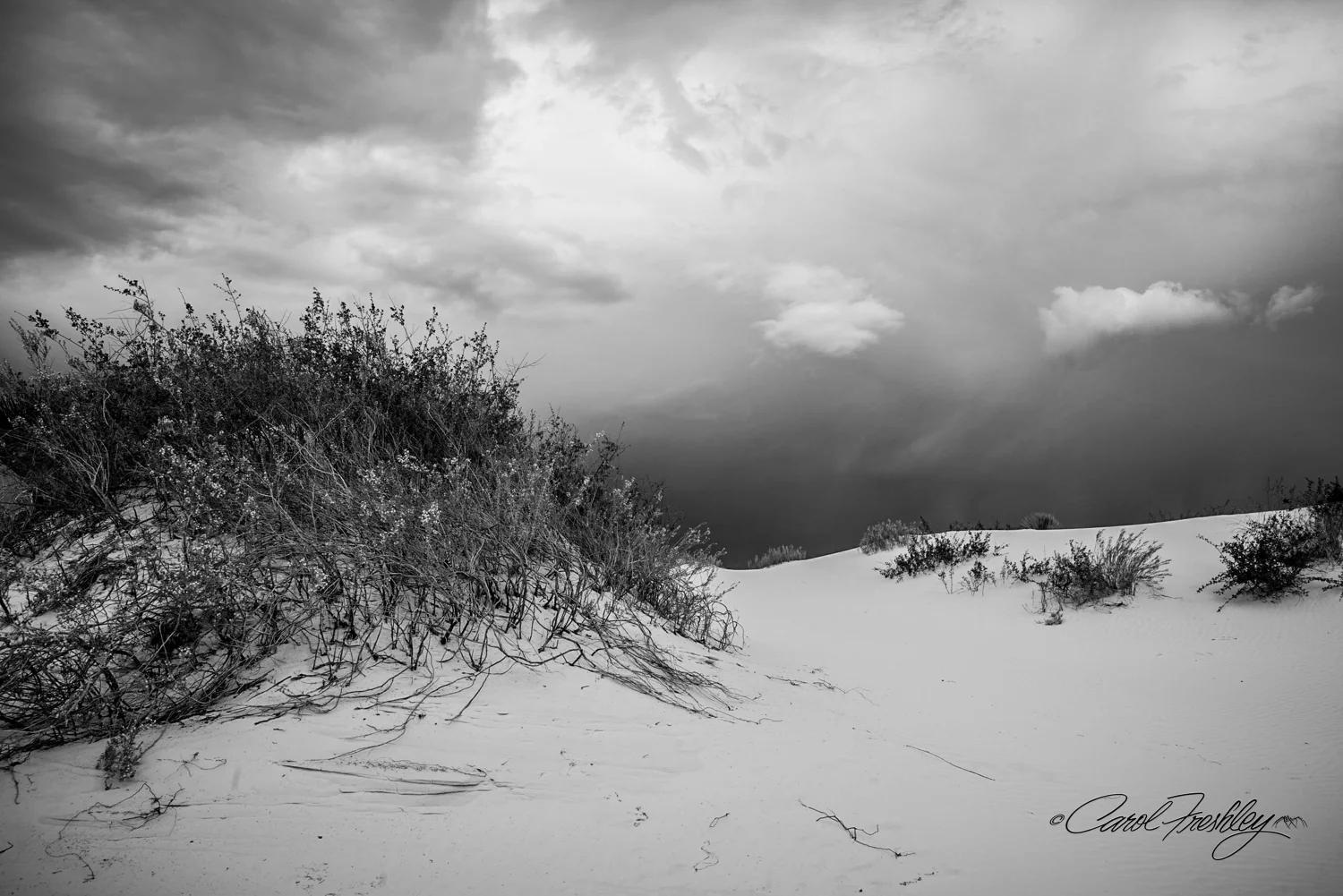 B&W White Sands-18.jpg