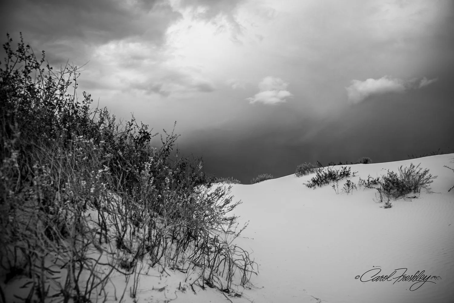 B&W White Sands-19.jpg