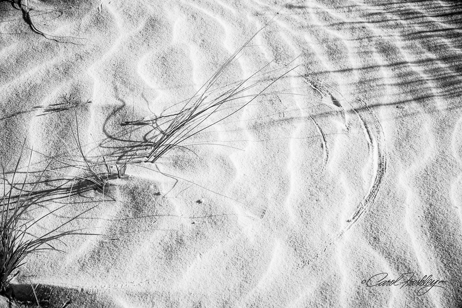B&W White Sands-29.jpg