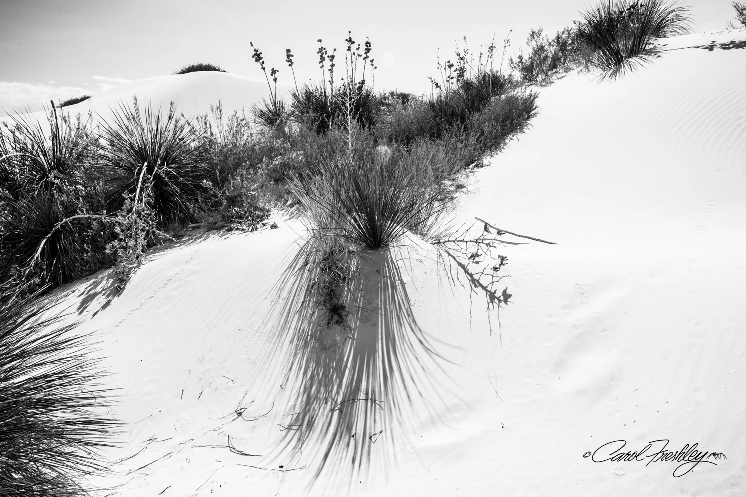 B&W White Sands-48.jpg