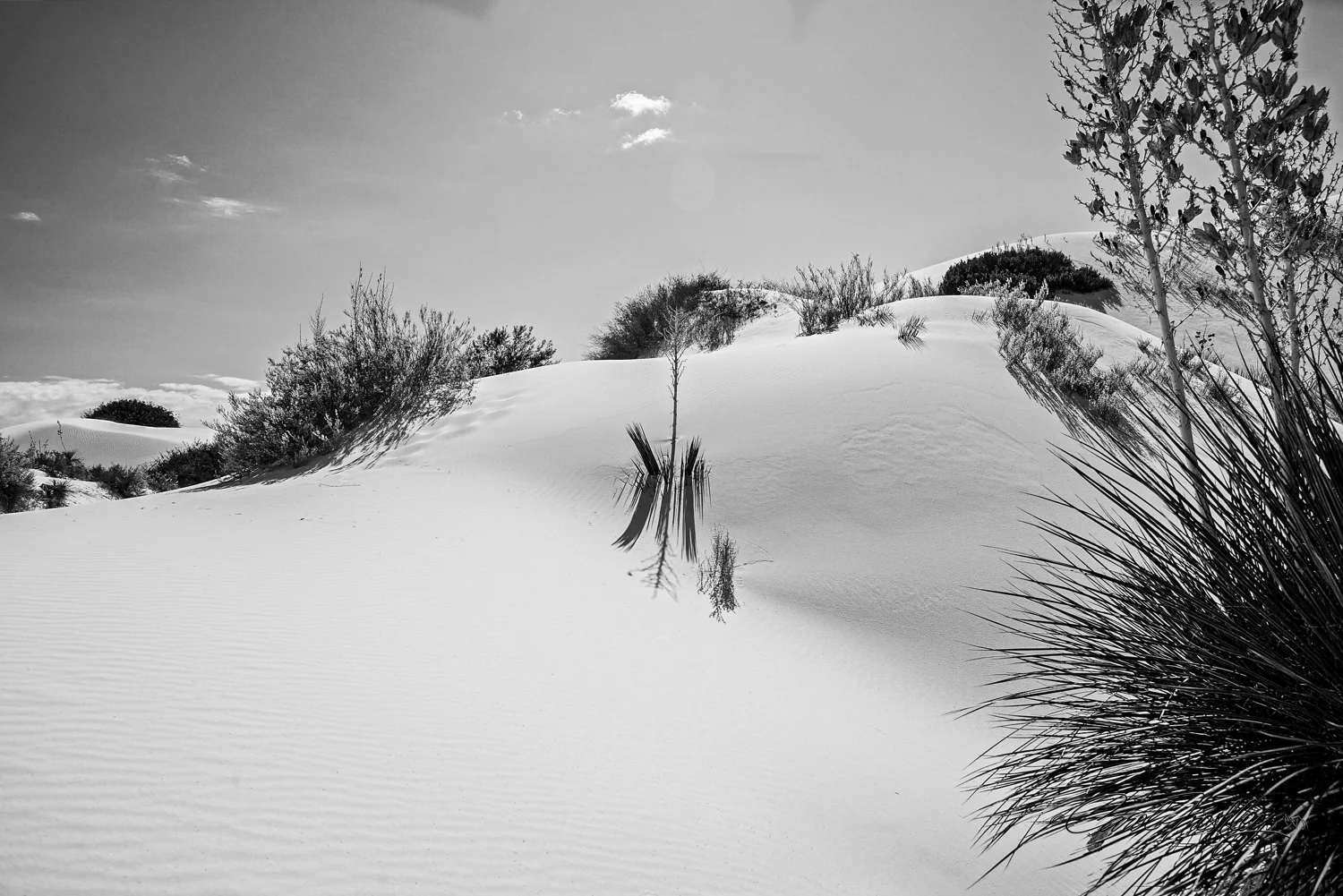B&W White Sands-45.jpg