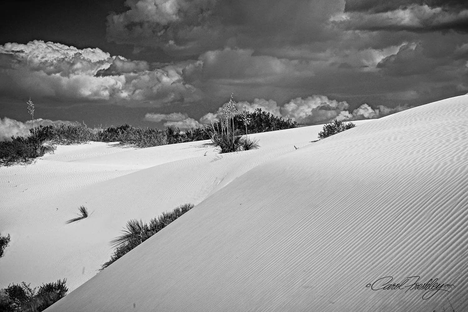 B&W White Sands-49.jpg