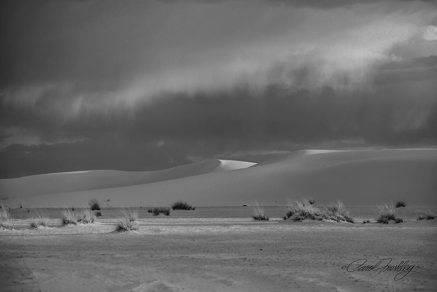 B&W White Sands-78-2.jpg