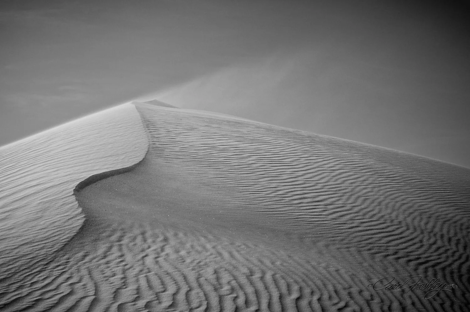 B&W White Sands-91.jpg