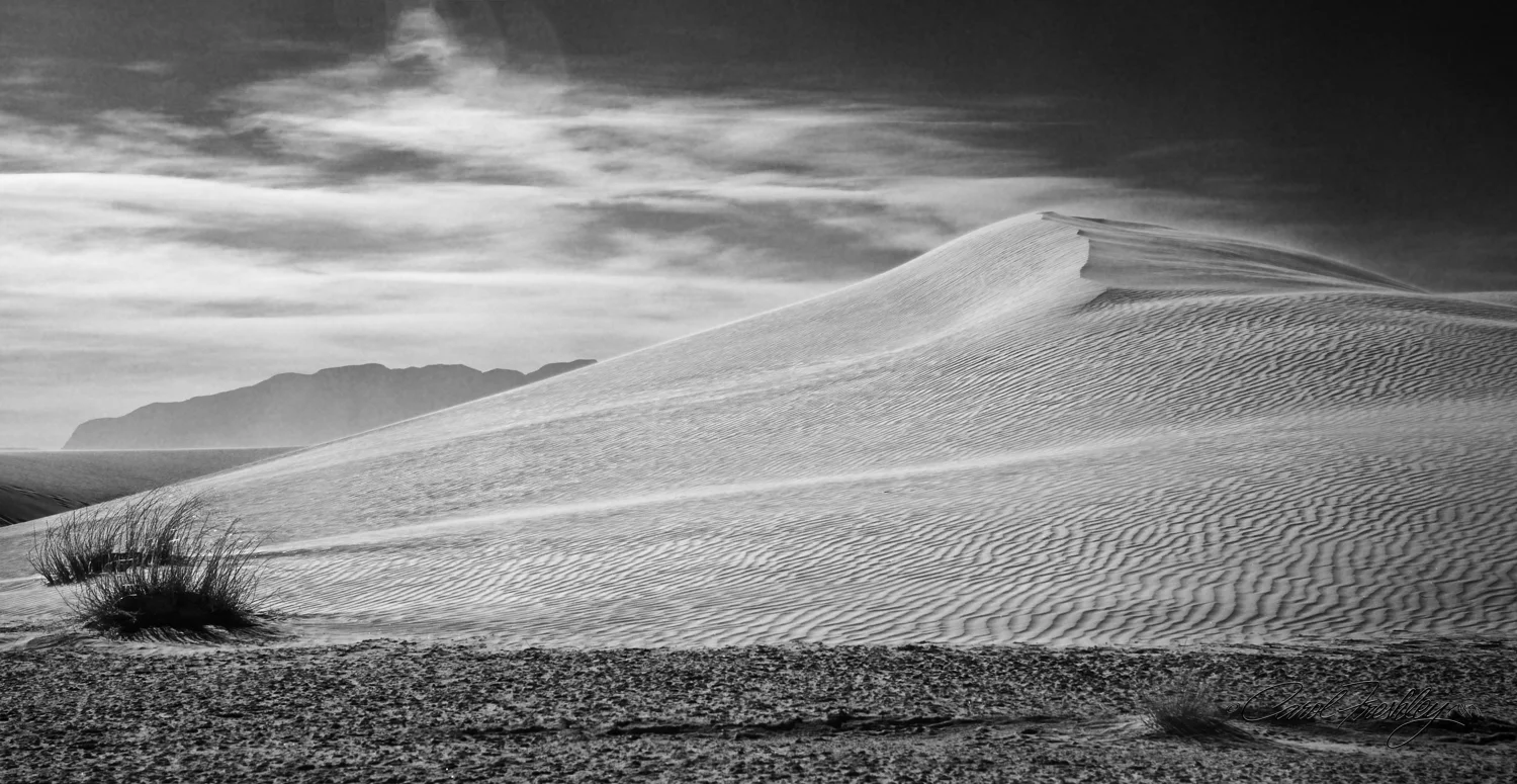 B&W White Sands-94.jpg