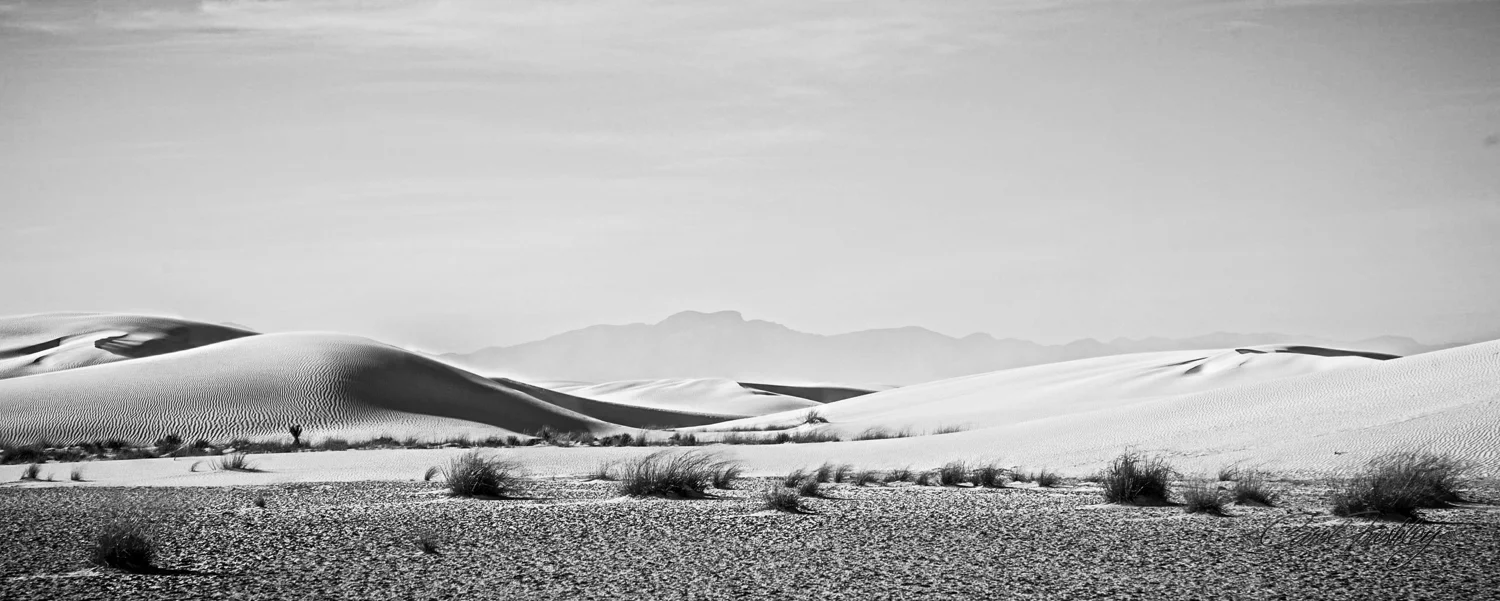 B&W White Sands-95.jpg