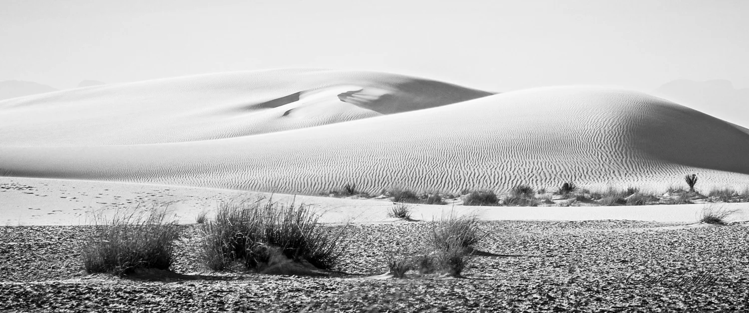 B&W White Sands-96.jpg
