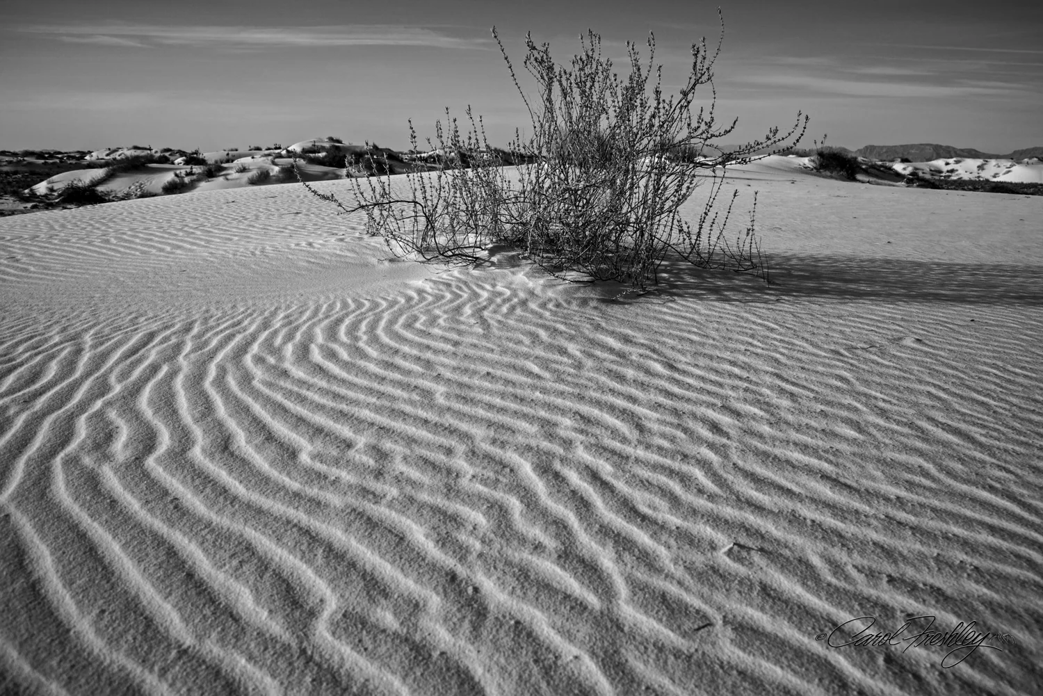 B&W White Sands-110.jpg