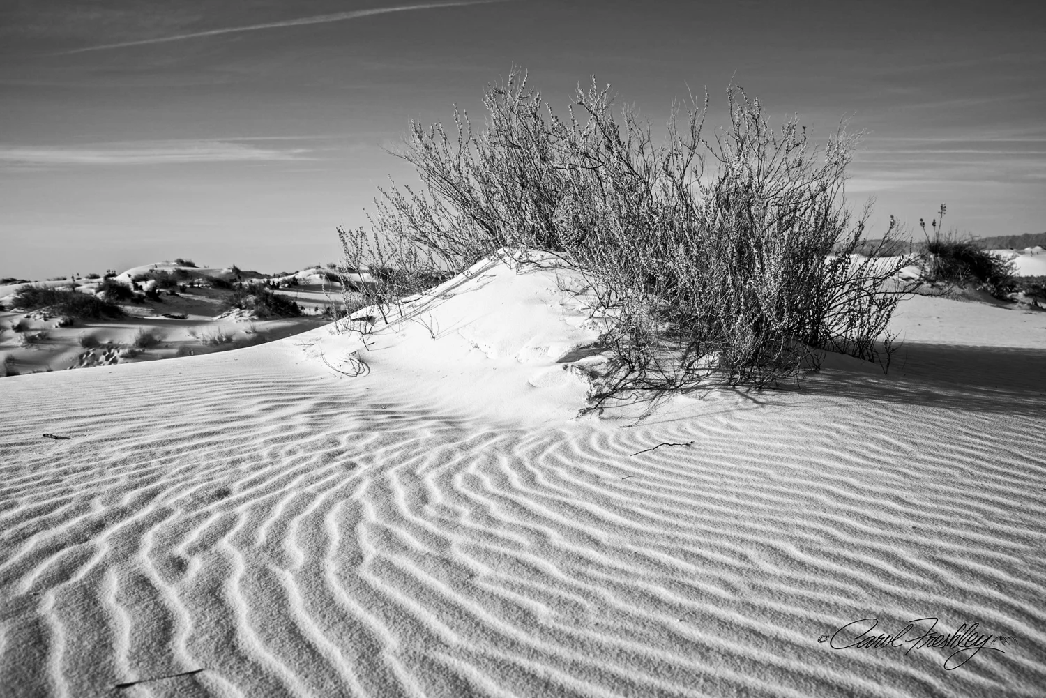 B&W White Sands-113.jpg