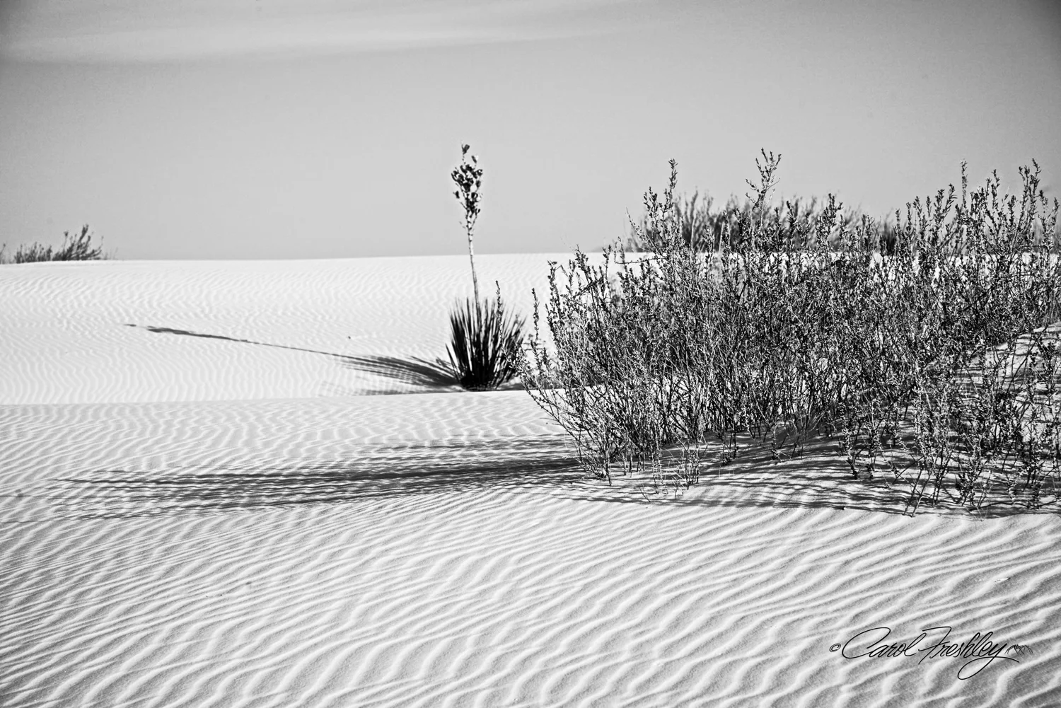B&W White Sands-116.jpg