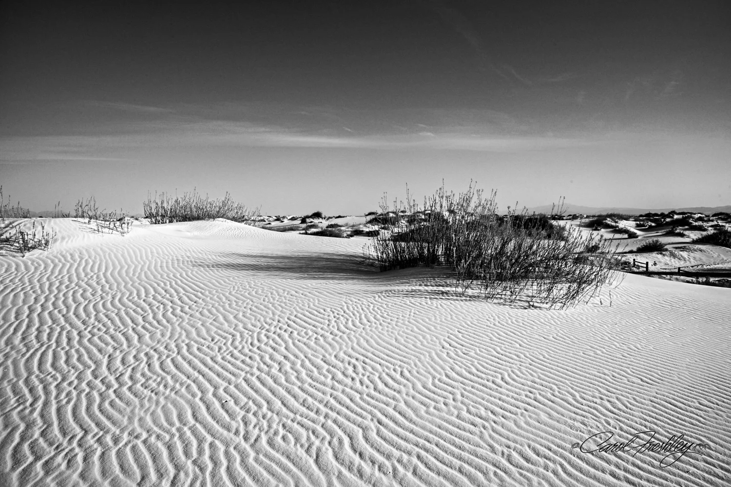 B&W White Sands-118.jpg