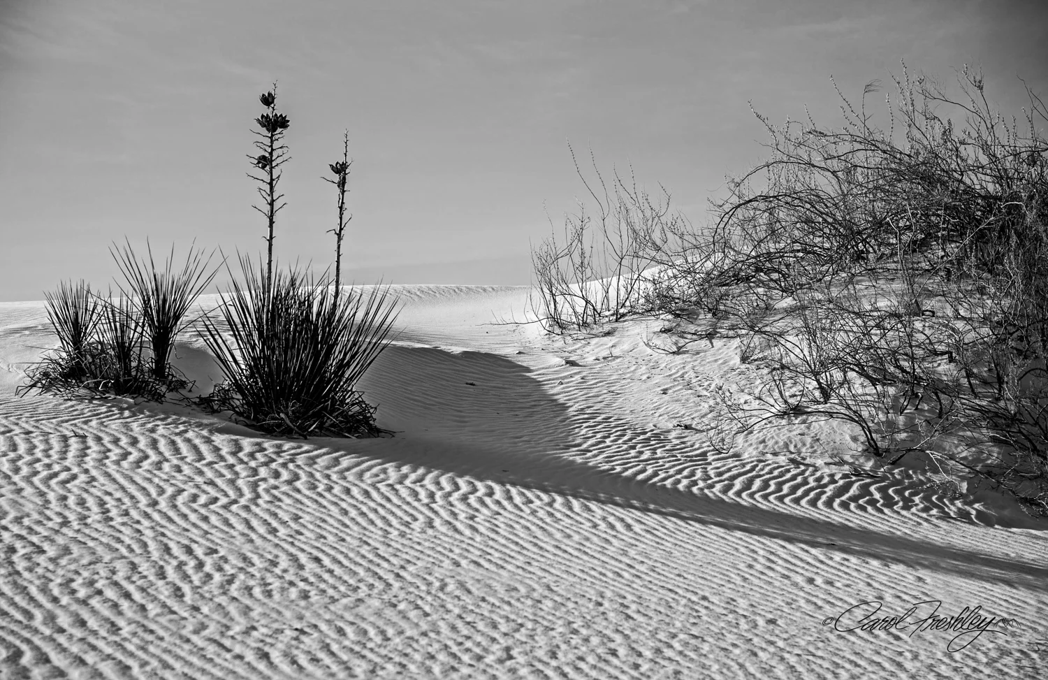 B&W White Sands-126.jpg