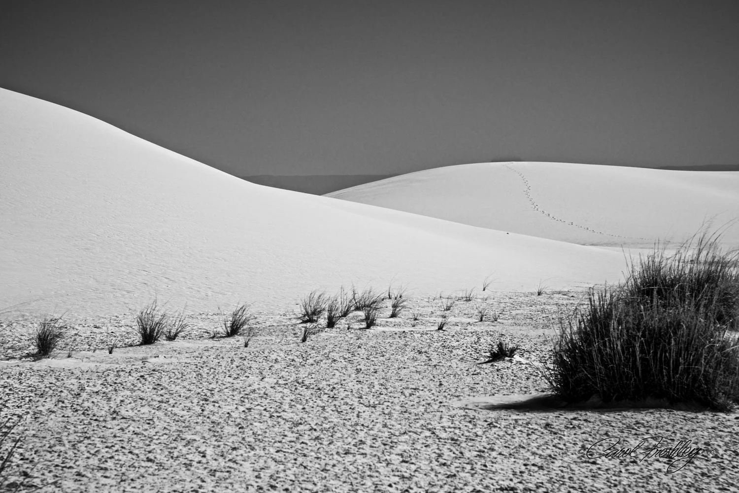 B&W White Sands-142.jpg