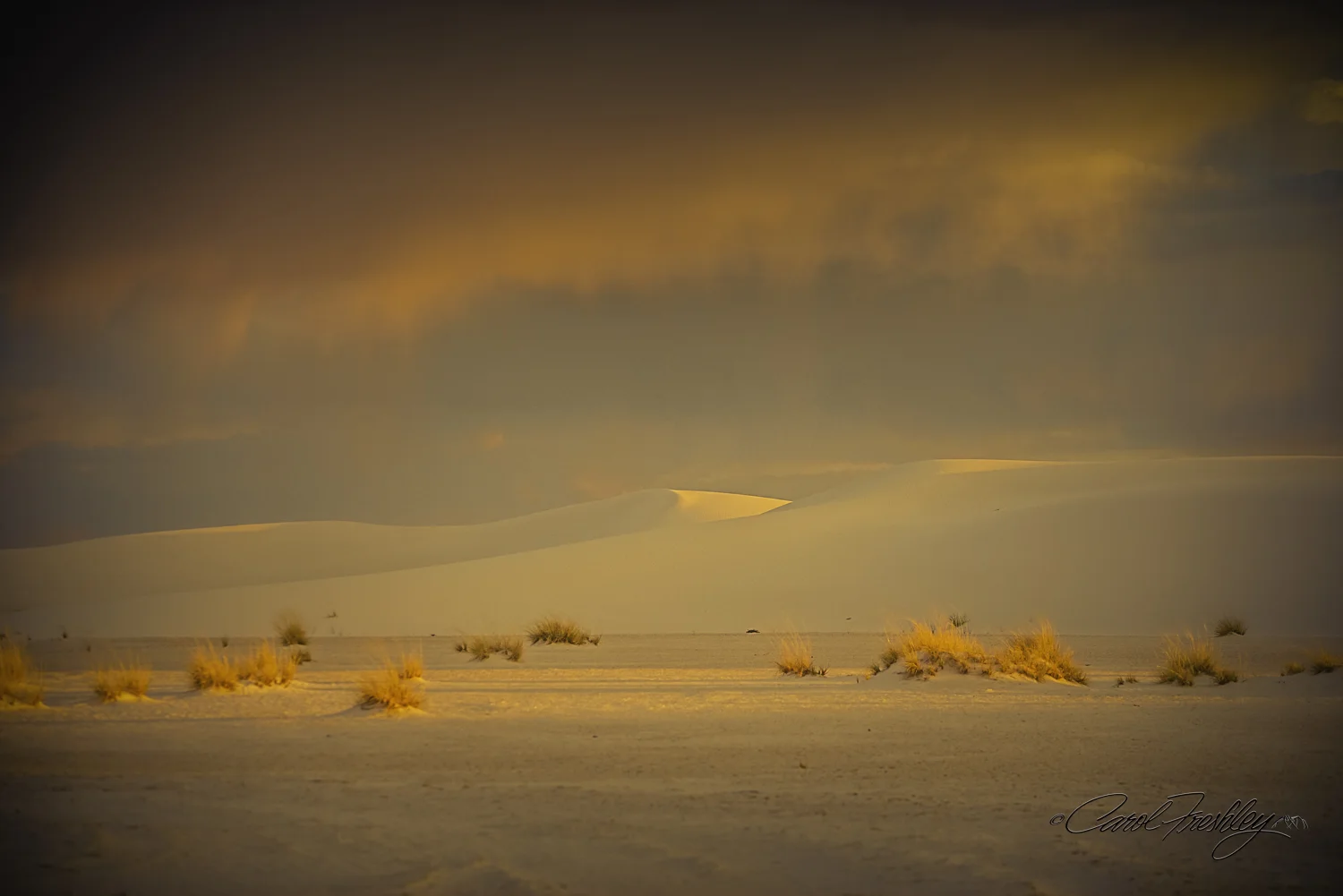 B&W White Sands-78.jpg
