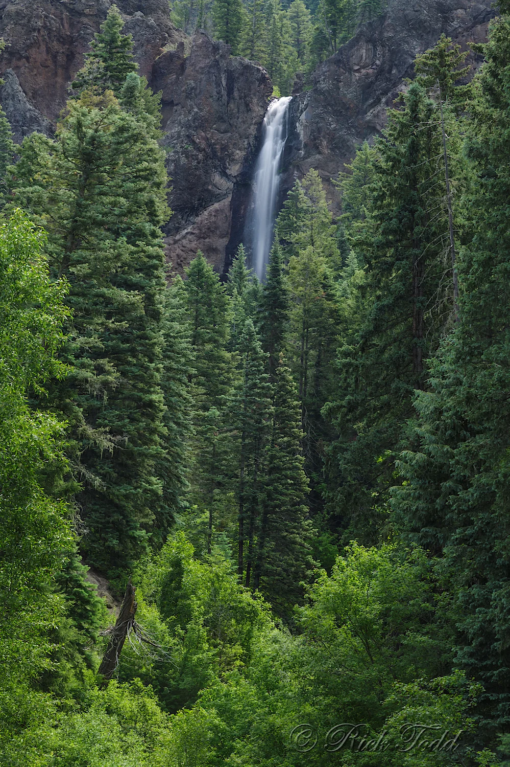 Fall Creek Falls at the base of Wolf Creek Pass.
