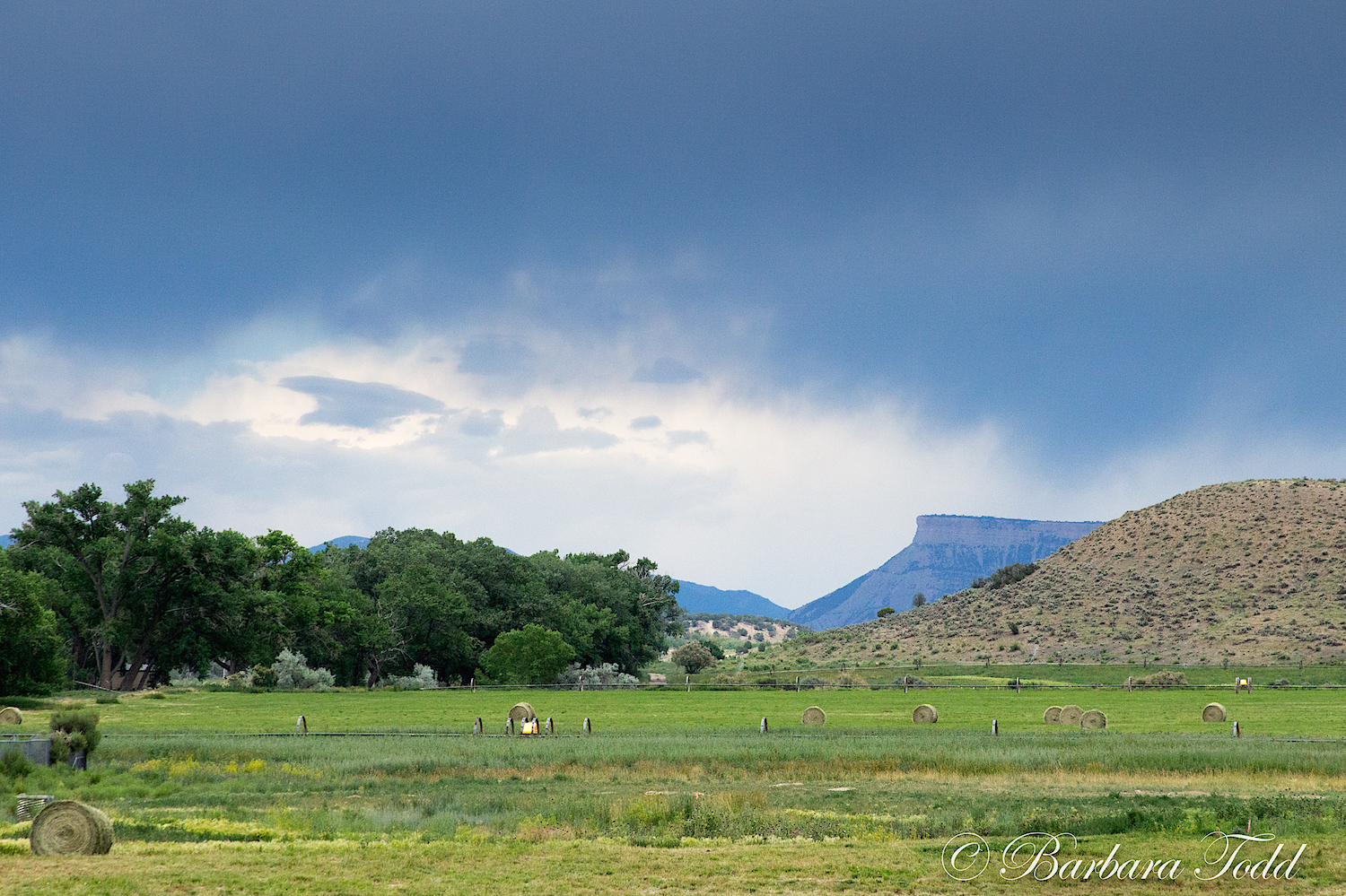 Drive to Cortez