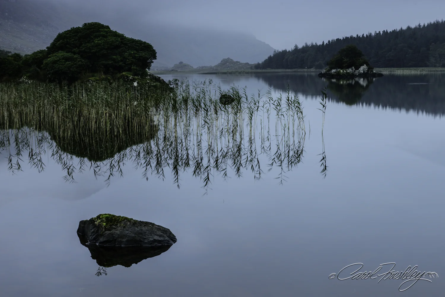 A blue hour shot. Finally, peace on the pond. The wind slept in. Our challenge, compositionally was to find 'balance' in the shot. 