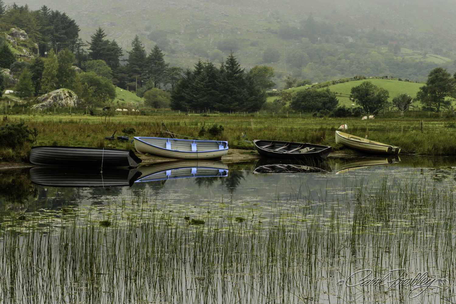 Down the road and not far away. My first shot got in more sheep and an old house. Daragh asked me what my subject was. The boats! "Then make that apparent", was his reply. Bold and present. Got it.