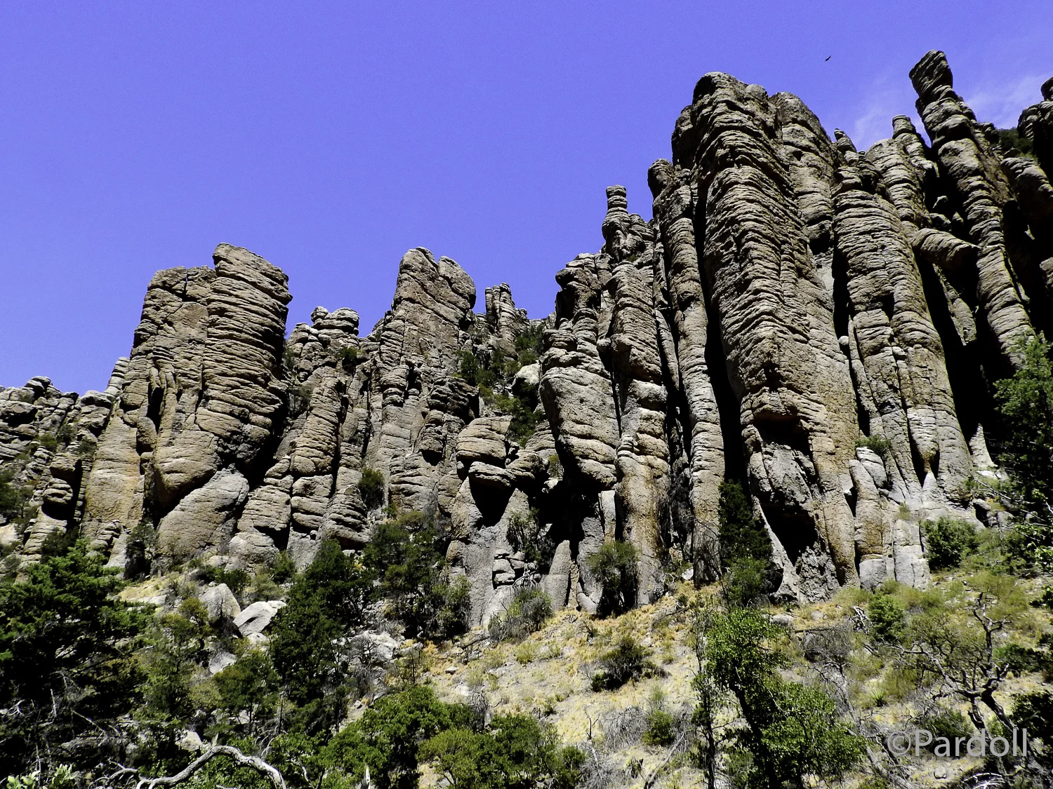 Chiracahua Nat Mon