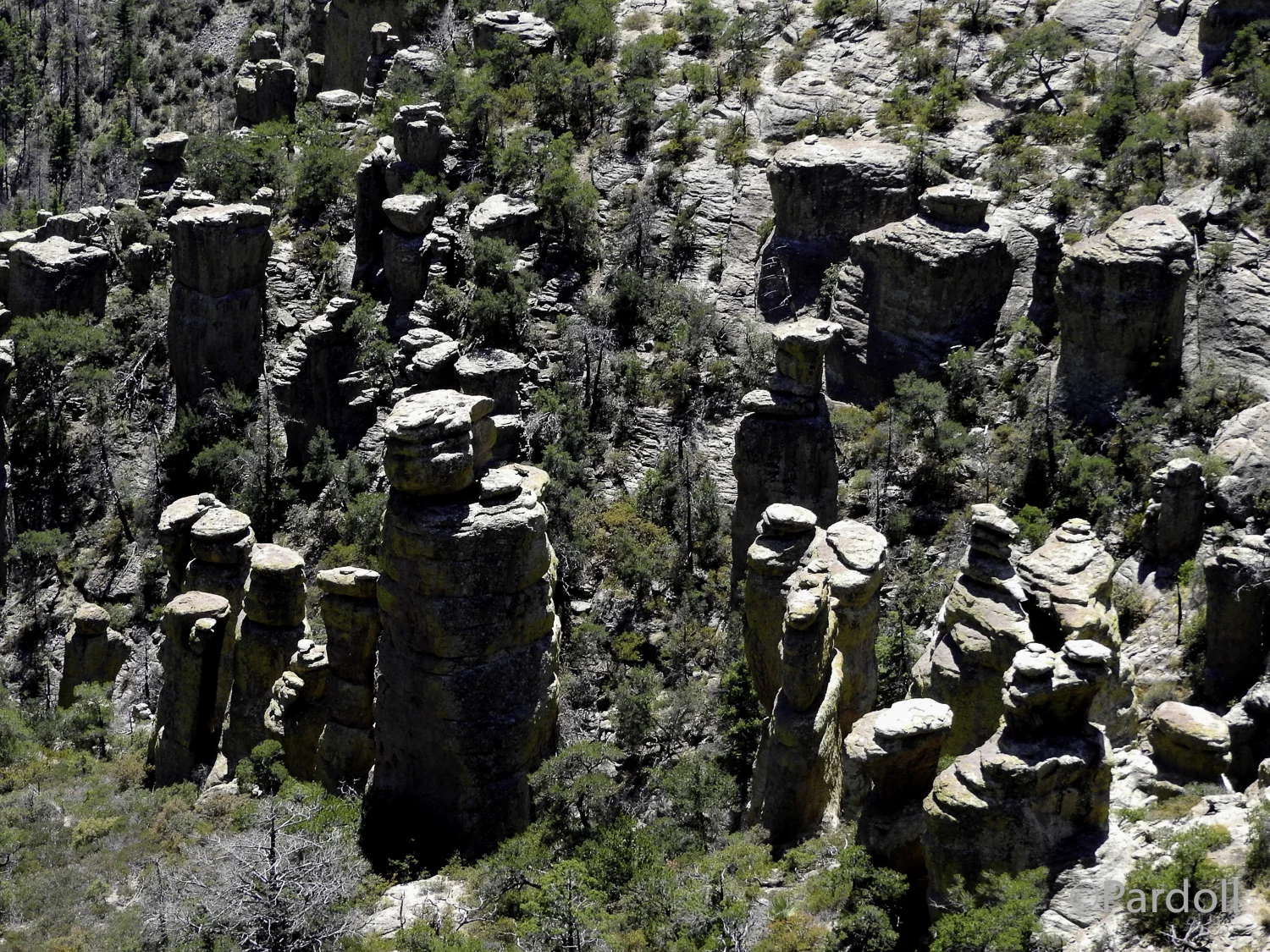 Chiracahua Nat Mon