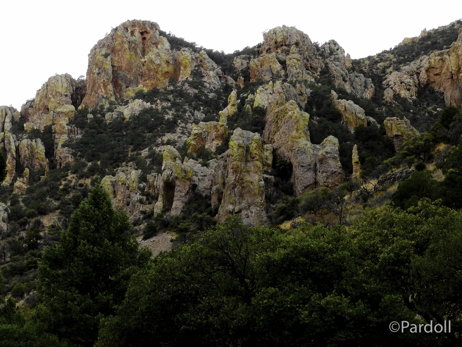 South Fork area